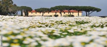 27 maggio - Pranzo primaverile